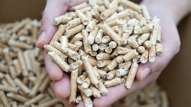 Seit das Heizen mit Gas in Deutschland an Bedeutung verliert, setzen mehr Verbraucher auf Holz als Energieträger, etwa in Form von Pellets. 