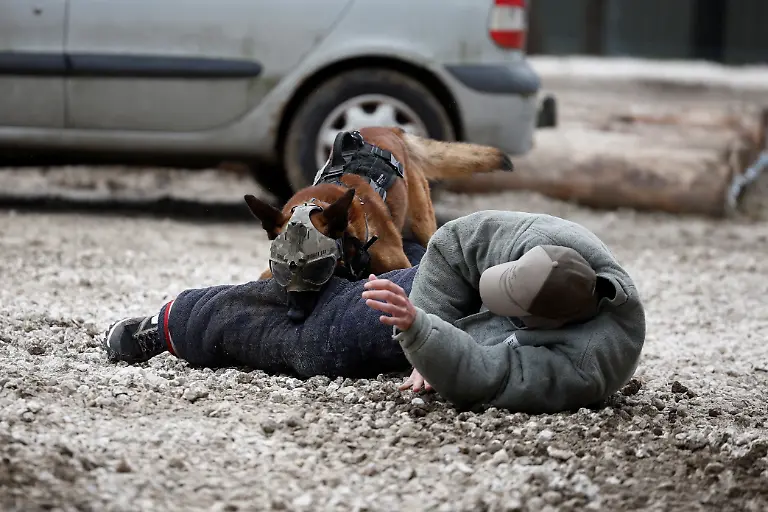 2024-06-16T180057Z-282352102-RC2EC8AJF3AY-RTRMADP-3-EUROSATORY-FRANCE