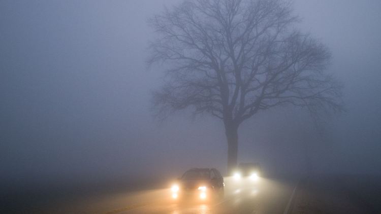 Mystische Stimmung - aber auch gefährlich: Bei schlechten Lichtverhältnissen kommt es auf eine funktionierende Lichtanlage und beste Sicht durch die Autoscheiben an.
