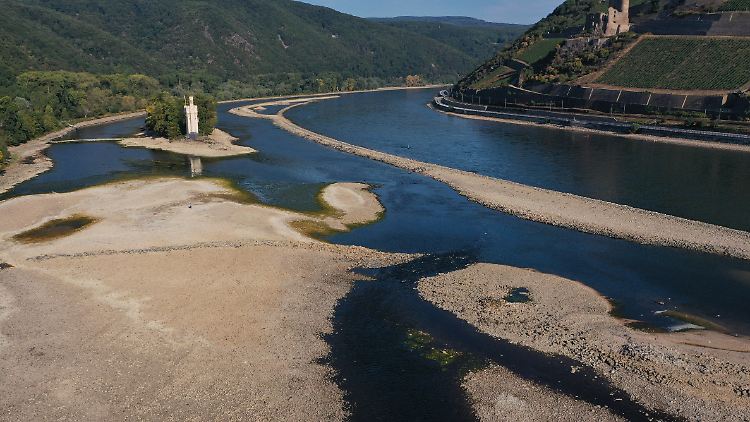 An großen deutschen Flüssen wie dem Rhein konnte man die diesjährige Hitzewelle besonders gut erkennen.