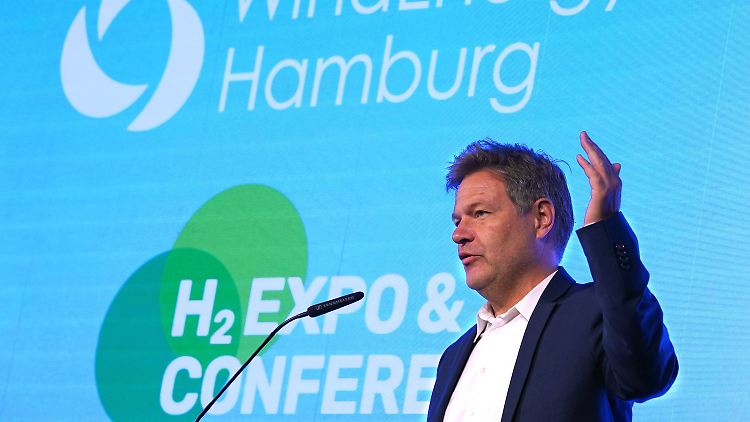 Bundeswirtschaftsminister Habeck macht Druck beim Ausbau der Windkraft an Land und spart nicht mit Kritik.