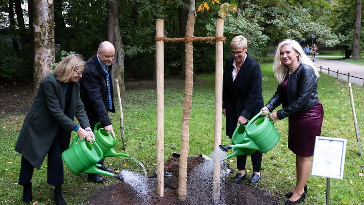 Die feierliche Pflanzung der Rosskastanie im Englischen Garten wurde, ganz stilecht, bei britischem Regenwetter zelebriert.