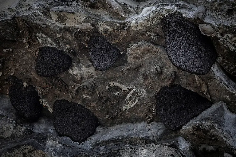 2024-06-05T100138Z-1368575818-RC2308AI0A8S-RTRMADP-3-CLIMATE-CHANGE-NEPAL-HONEY