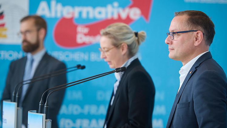 AfD-Co-Vorsitzende Alice Weidel kritisierte die Maßnahme als "äußerst unverhältnismäßig".