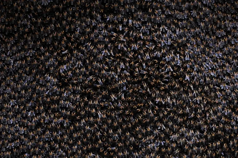 2024-06-05T100158Z-286340674-RC2HZ7APVZDP-RTRMADP-3-CLIMATE-CHANGE-NEPAL-HONEY