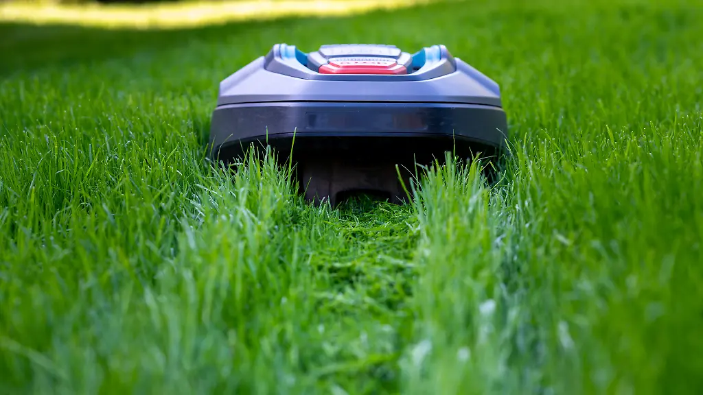 Welcher-Maehroboter-darf-es-sein-ein-Marken-oder-Discounter-Modell