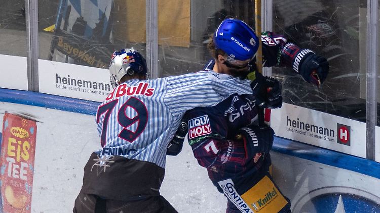 Derangierte Eisbären.