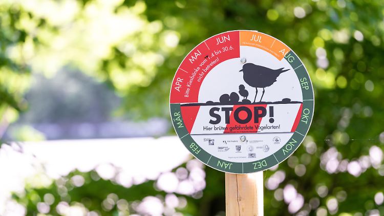 Ein Schild im Landkreis Augsburg macht auf die Brutstätten gefährdeter Vogelarten aufmerksam.