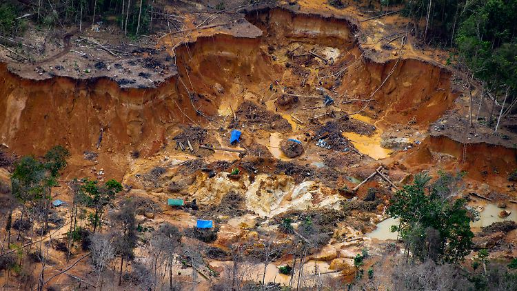 Illegale Goldgräber im Gebiet der Yanomani-Indigenen.