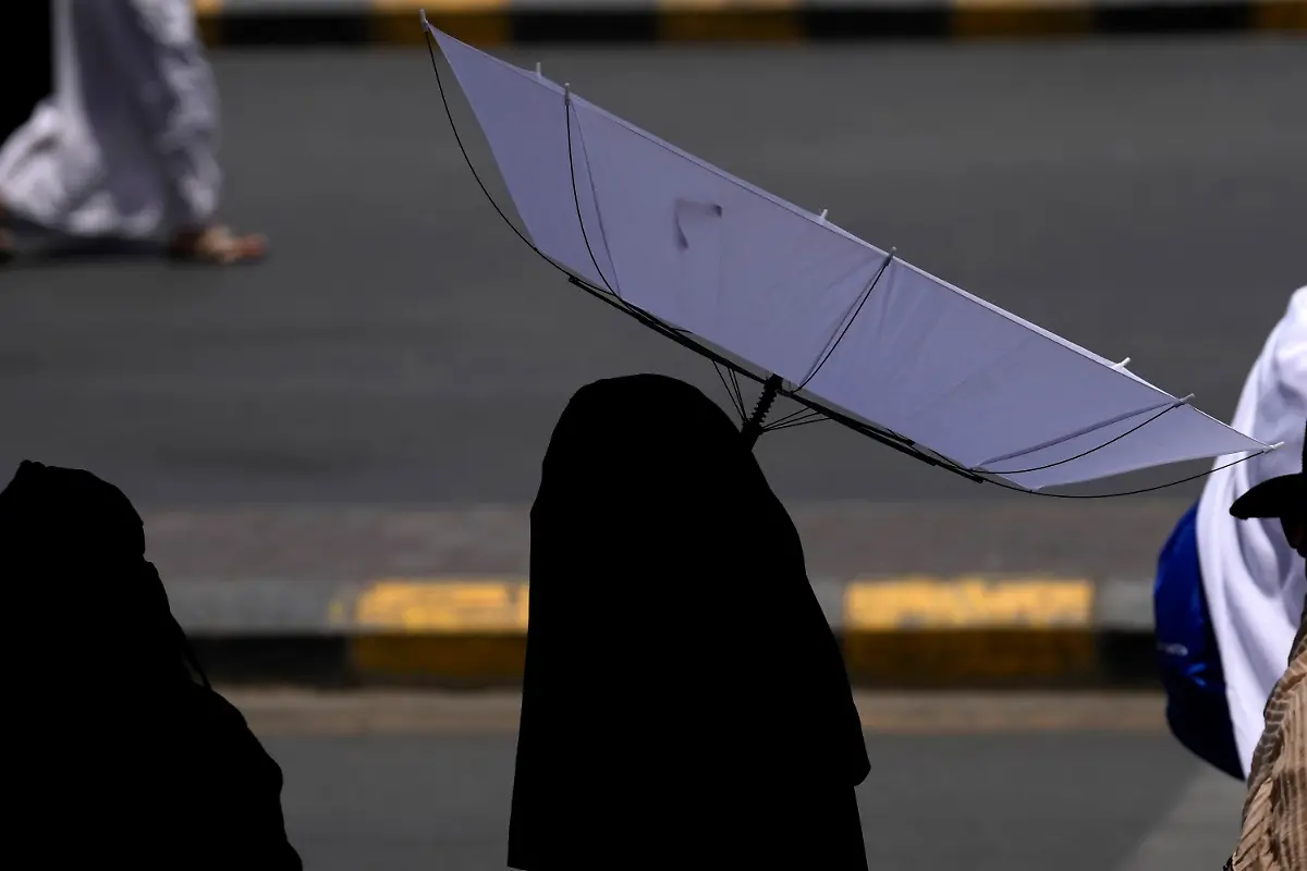 b22840b56b36a2eea9abc1270ddc08e0