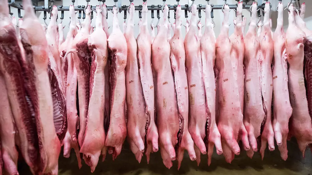 3bdd08a358071ad5a3eb557eb1b6fdc0