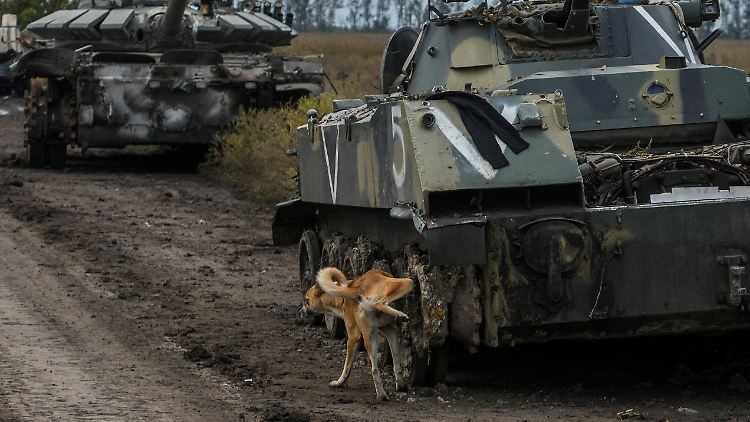 Ein Hund hebt sein Bein an einem russischen Panzer: Nach der Niederlage in Charkiw erleidet die russische Armee heute eine Schlappe in Lyman, Region Donezk.