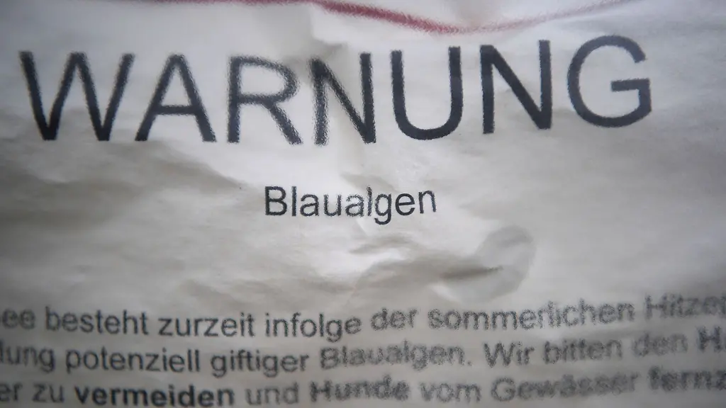 Ein-Schild-warnt-am-Ufer-eines-Sees-vor-potenziellen-Gefahren-durch-die-starke-Entwicklung-von-Blaualgen