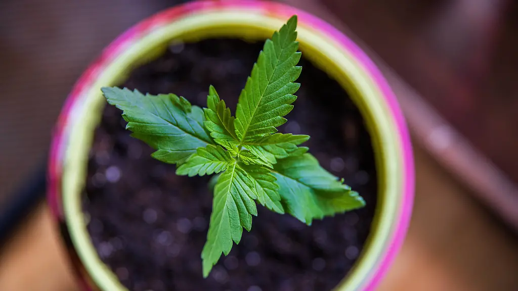 456d43efaadfde11e1eca2842f866baa