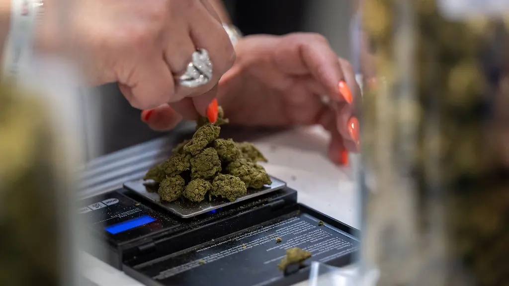 Eine-Verkaeuferin-wiegt-auf-der-Hanfmesse-Mary-Jane-CBD-Blueten-auf-einer-Waage