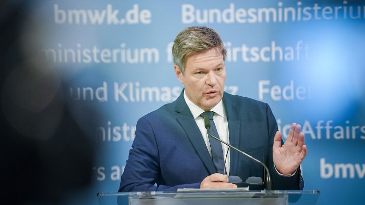 Die EU solle aus Sicht des Wirtschaftsministers ihre "gewaltige Marktmacht" nutzen, um gegen überhöhte Erdgaspreise vorzugehen.