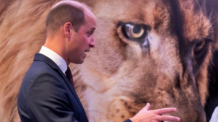 Sprach auf dem "United for Wildlife Global Summit": Prinz William.