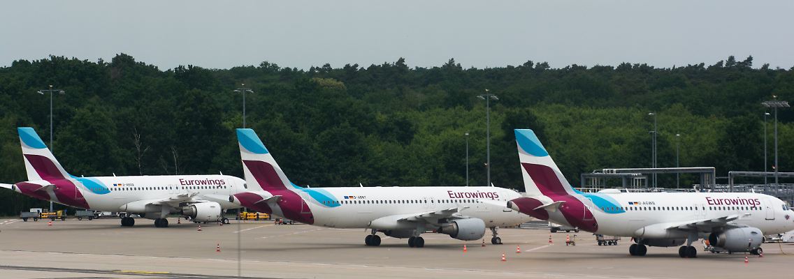 293812193.jpg