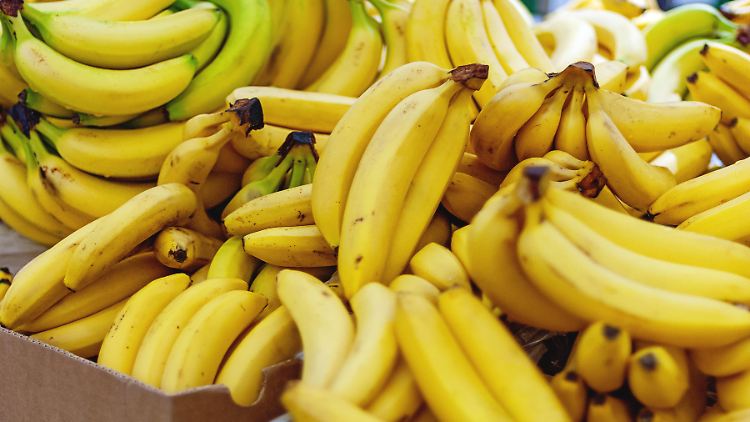 Gemeinsam Bedingungen für den Bananensektor verabreden? In den Augen des Bundeskartellamtes entsteht dadurch kein Wettbewerbsnachteil für deutsche Verbraucher.  