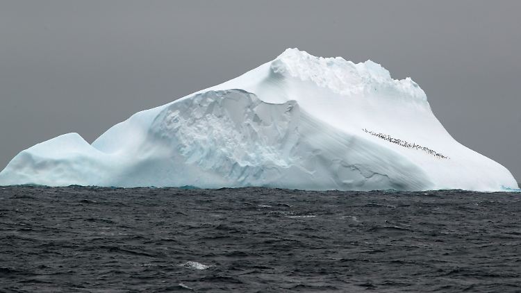 Die DNA aus der Tiefsee vor der Antarktis gibt Aufschluss über das Leben im Meer vor einer Million Jahren.