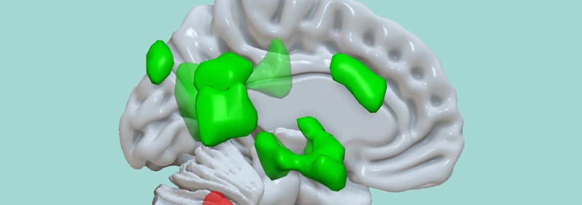 Hirn_Emotionen_mint_1000x500.jpg