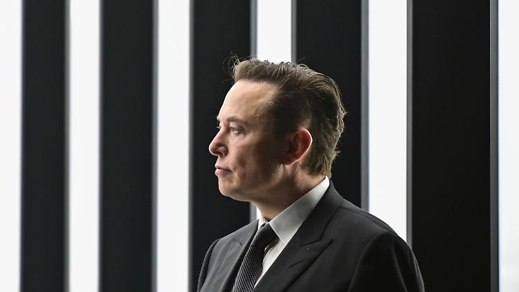Selbsternannter Friedensbringer: Elon Musk