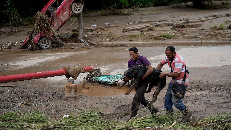 Männer retten einen Hund aus dem Schlamm. Über 50 Menschen werden nach dem Erdrutsch noch vermisst.