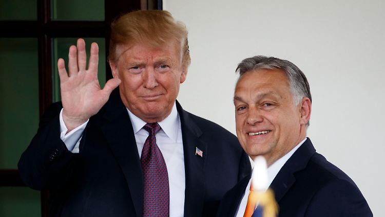 Nach Ex-Kanzlerin Angela Merkel sieht Viktor Orban (r.) den ehemaligen US-Präsidenten Trump als Hoffnungsträger für Friedensgespräche mit Putin.