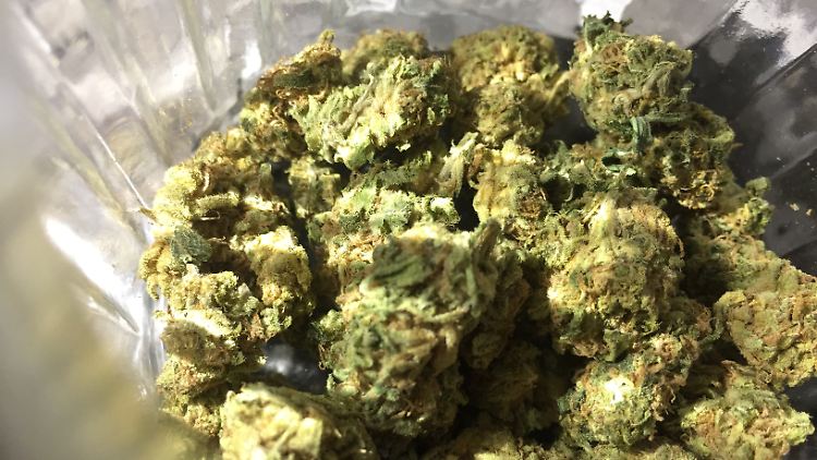 Beim Handel mit CBD-Blüten sei der Missbrauch zu Rauschzwecken nicht ausgeschlossen, urteilte der BGH. 