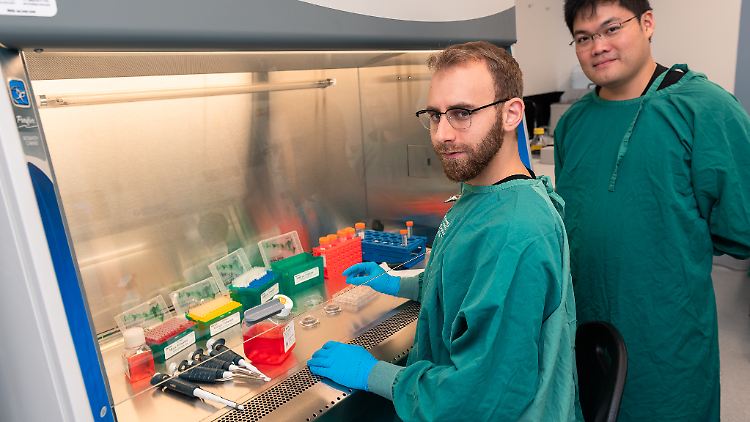 Erstautor Brett Kagan (l.): "Wir haben gezeigt, dass wir mit lebenden biologischen Neuronen so interagieren können, dass sie ihre Aktivität verändern, was zu etwas führt, das Intelligenz ähnelt."