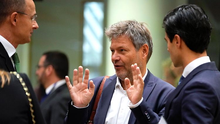 Bundeswirtschaftsminister Habeck plädiert schon länger für eine Stärkung der gemeinsamen Einkaufskraft Europas. 