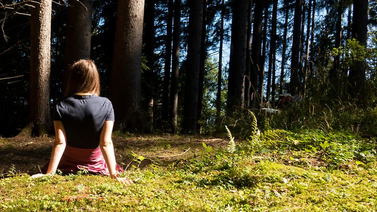 Den Boden, das Moos, die Gräser berühren: Den Wald mit allen Sinnen spüren - auch darum geht es beim Waldbaden.