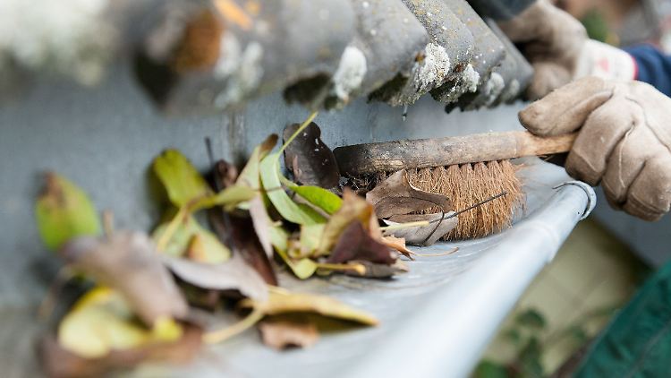 Laub muss aus der Dachrinne entfernt werden, sonst droht ein verstopfter Ablauf.