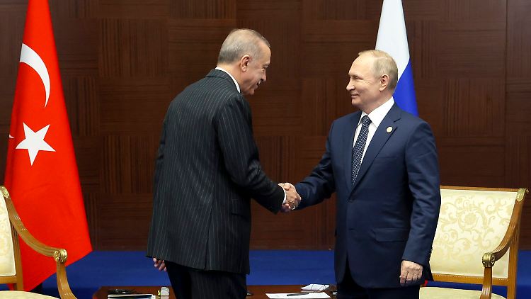 Der eine hat viel Erdgas, der andere könnte davon massiv profitieren: Putin und Erdogan.