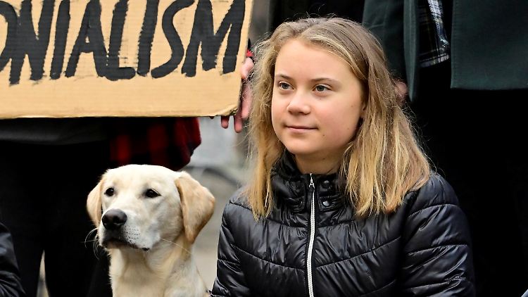 Greta Thunberg am vergangenen Freitag beim einem Schulstreik für das Klima in Stockholm teil.