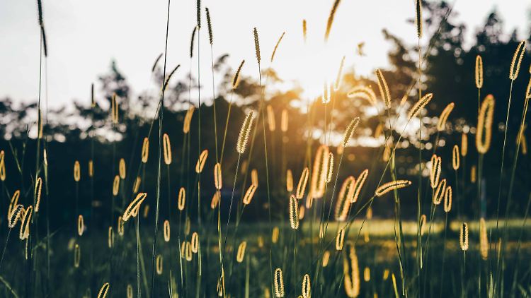 Herbeigewehter Saharastaub dürfte Sonnenauf- und -untergänge farbintensiver wirken lassen.