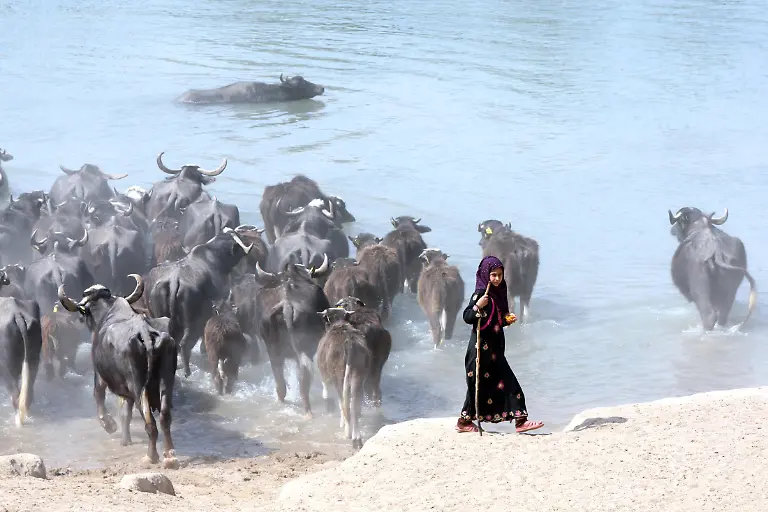 2014-03-07T000000Z-1523503767-GM1EA3803ST01-RTRMADP-3-IRAQ