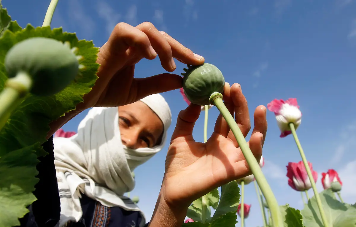 2013-04-07T120000Z-1852791117-GM1E9471BUI01-RTRMADP-3-AFGHANISTAN