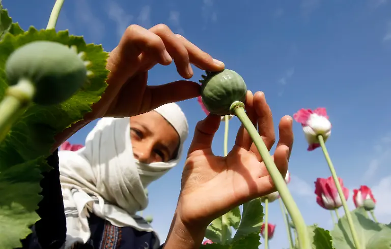 2013-04-07T120000Z-1852791117-GM1E9471BUI01-RTRMADP-3-AFGHANISTAN