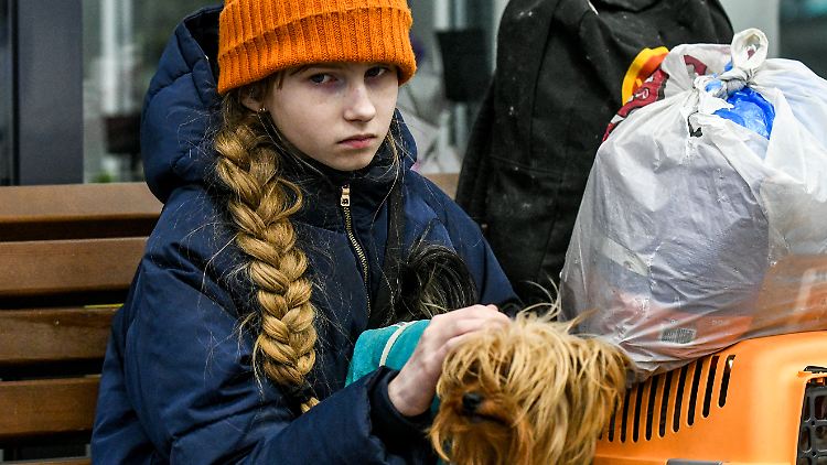 Die Auswirkungen des Kriegs sind besonders stark für Kinder in Russland und der Ukraine, sagt UNICEF.