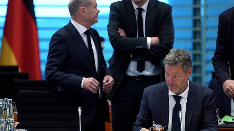 Bei Wirtschafsminister Habeck war Scholz' Entscheidung gut angekommen: "Er ist voll ins Risiko gegangen, und ich werbe dann dafür, dass wir jetzt diesen Weg auch gehen, weil alles andere staatspolitisch nicht verantwortlich wäre."