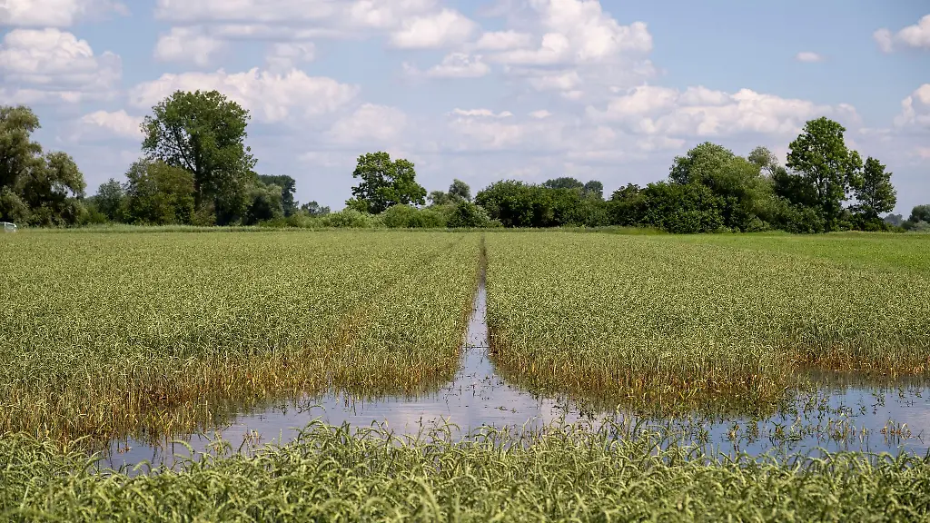 In-einem-Acker-steht-das-Wasser