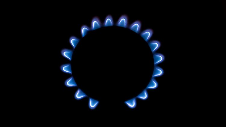 Gas spart in erster Linie bereits die Industrie.