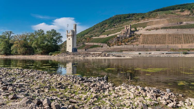 Wegen des extremen Niedrigwassers im Rhein konnten Schiffe den Fluss kaum noch passieren.