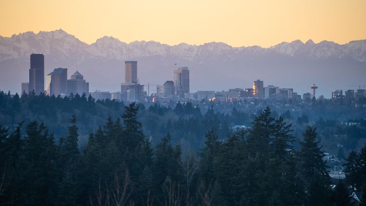Die Region um Seattle im Nordwesten der USA ist dicht bewaldet.