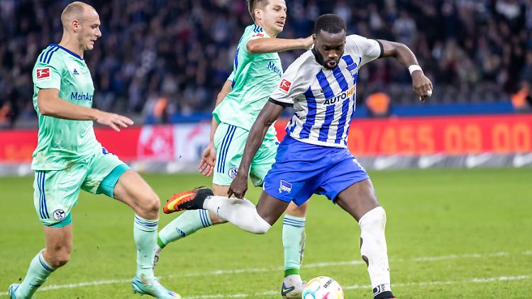 Wilfried Kanga erzielte gegen Schalke sein erstes Bundesliga-Tor.