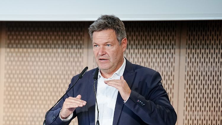 Die Abschöpfung der "Zufallsgewinne" sei eine "extrem komplexe Aufgabe", so Habeck.