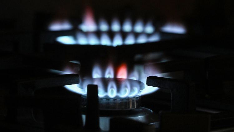 Eine aufwändige IT-Umstellung wäre nach Angaben der Energiewirtschaft nötig, um die Gaspreisbremse umzusetzen.
