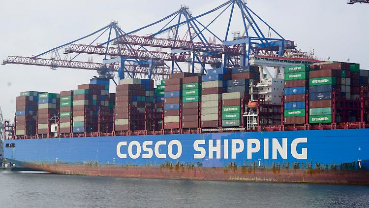 Thema strittig: Die Grünen wollen dem Kanzler nicht das letzte Wort über den Cosco-Einstieg im Hamburger Hafen lassen.