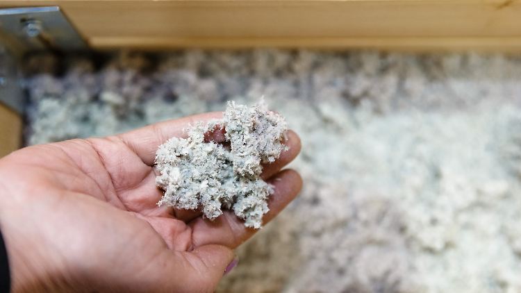 In Deutschland gibt es 100 verschiedene Dämmstoffe. Einige bestehen aus recyceltem Glas, im Bild sind recycelte Zelluloseflocken zu sehen.